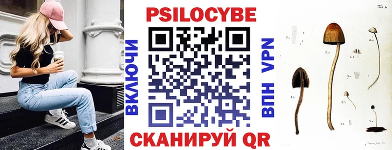 Псилоцибиновые грибы Magic Shrooms  shop Telegram  Анжеро-Судженск 