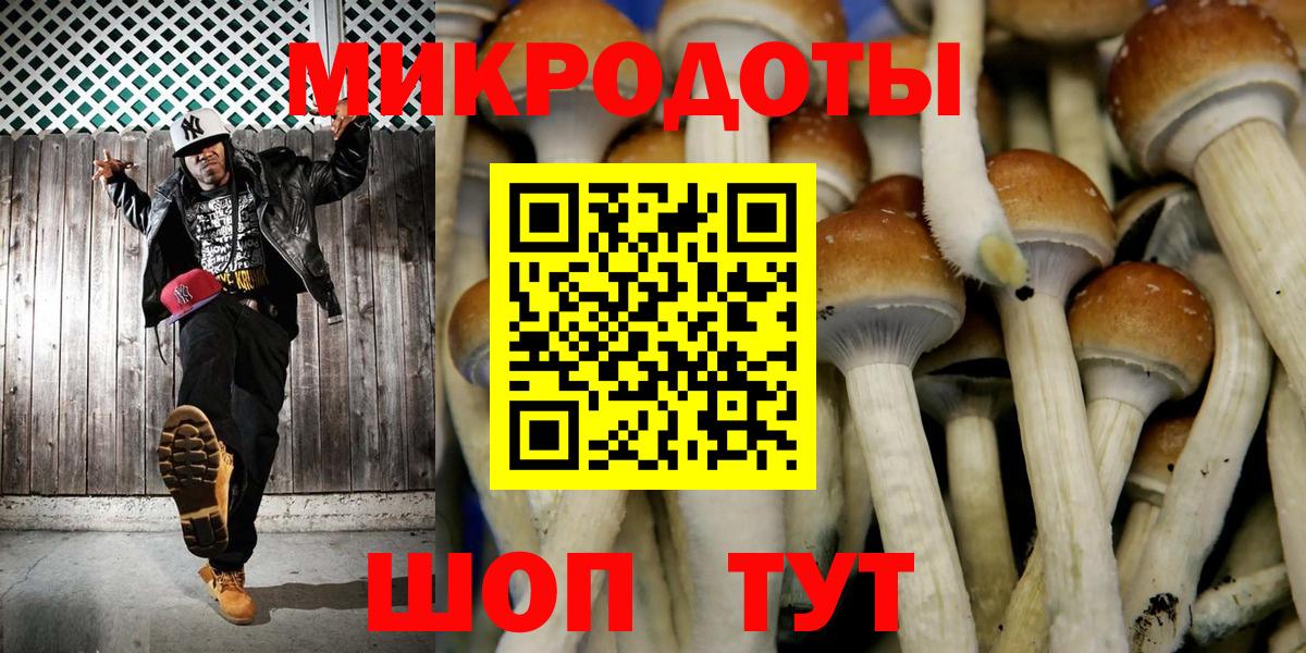 Галлюциногенные грибы Psilocybine cubensis Анжеро-Судженск