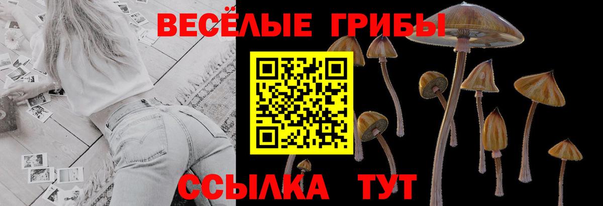 Галлюциногенные грибы Magic Shrooms  Псилоцибиновые грибы MAGIC MUSHROOMS  Вход с VPN  Анжеро-Судженск 